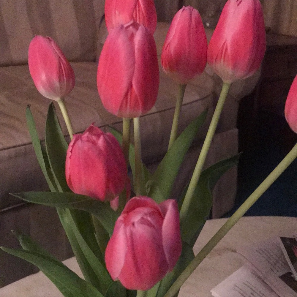 Meet your Posher, Amy